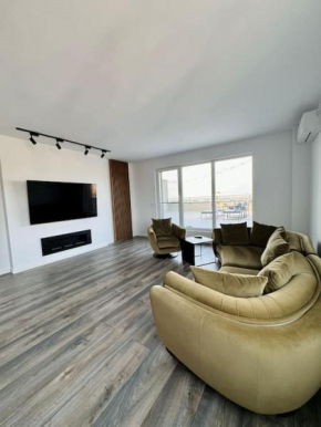 City view Penthouse in Timșoara